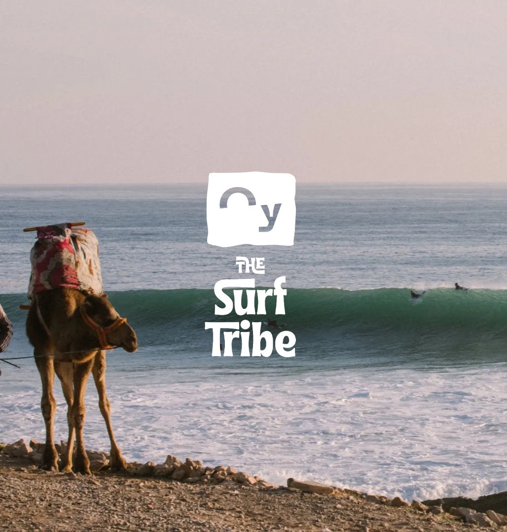 oy-surf-tribe-3.jpg
